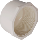 PVC CAP 1 SCH40 FPT