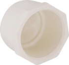 PVC Cap 1/2