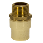 FGG No-Lead Male Adapter Brass Threaded 3/4