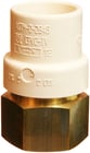 FGG No-Lead Female Adapter Brass Threaded 1/2