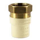 FGG No-Lead Female Adapter Brass Threaded 1