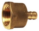 No Lead Brass Female Adapter 3/8