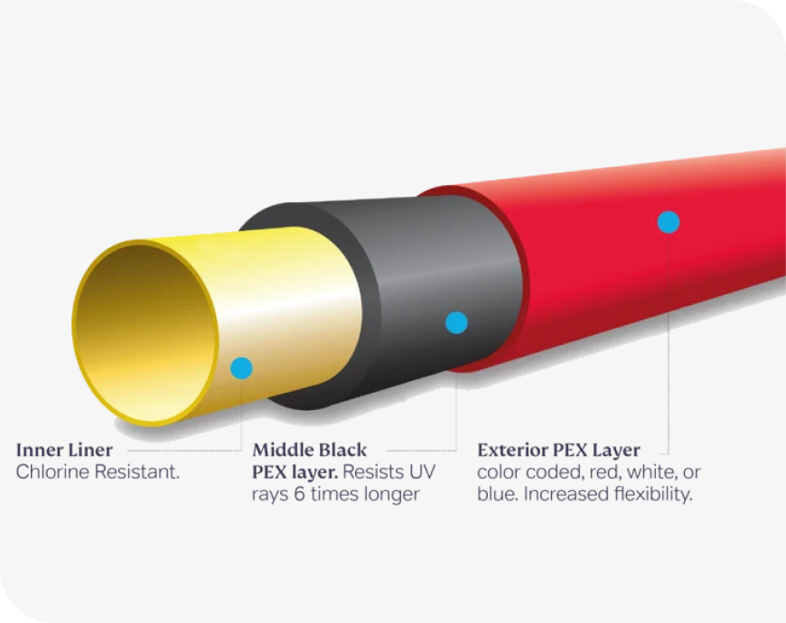 superPex-featured superPex-featured