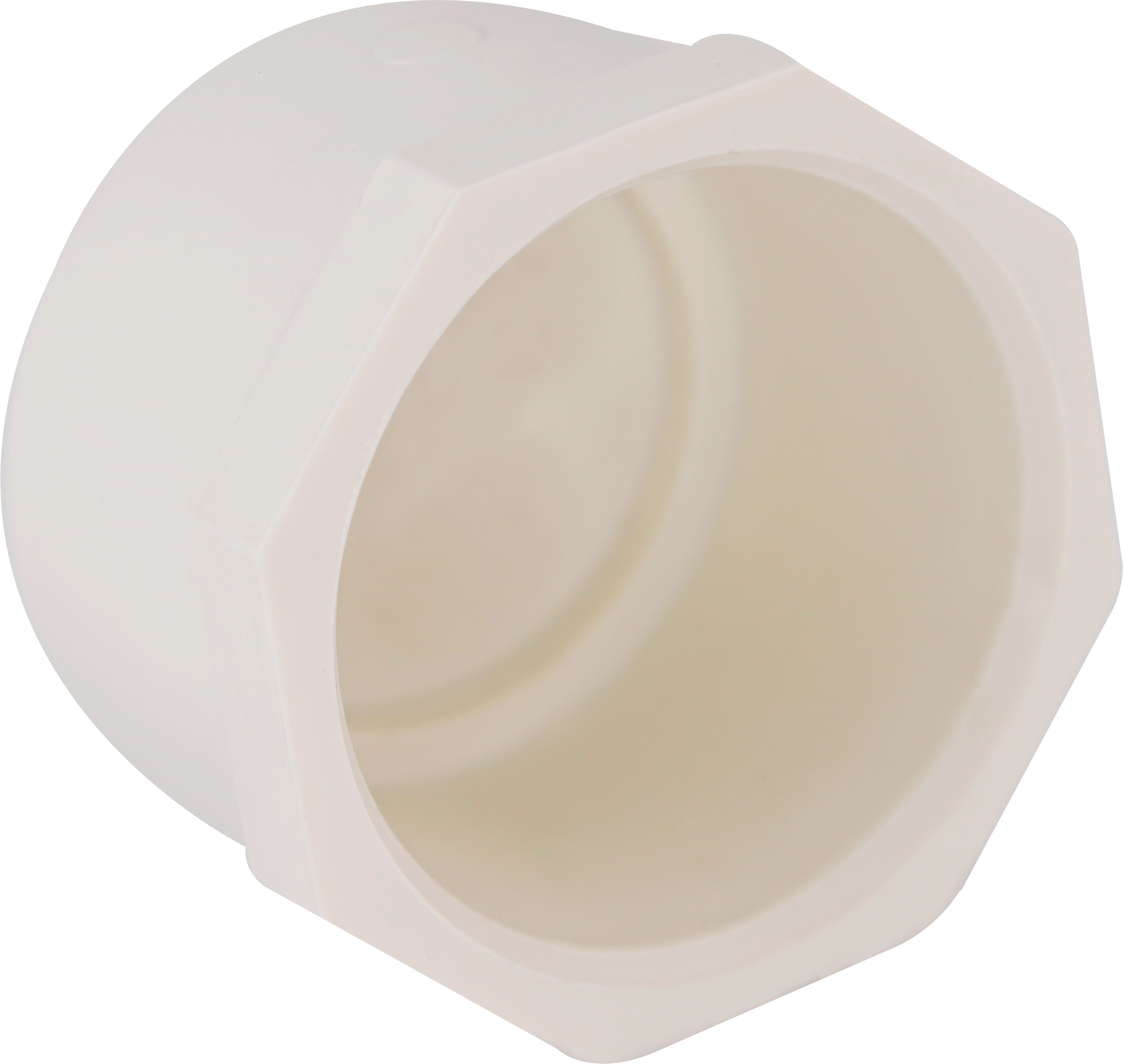 PVC Cap 1/2