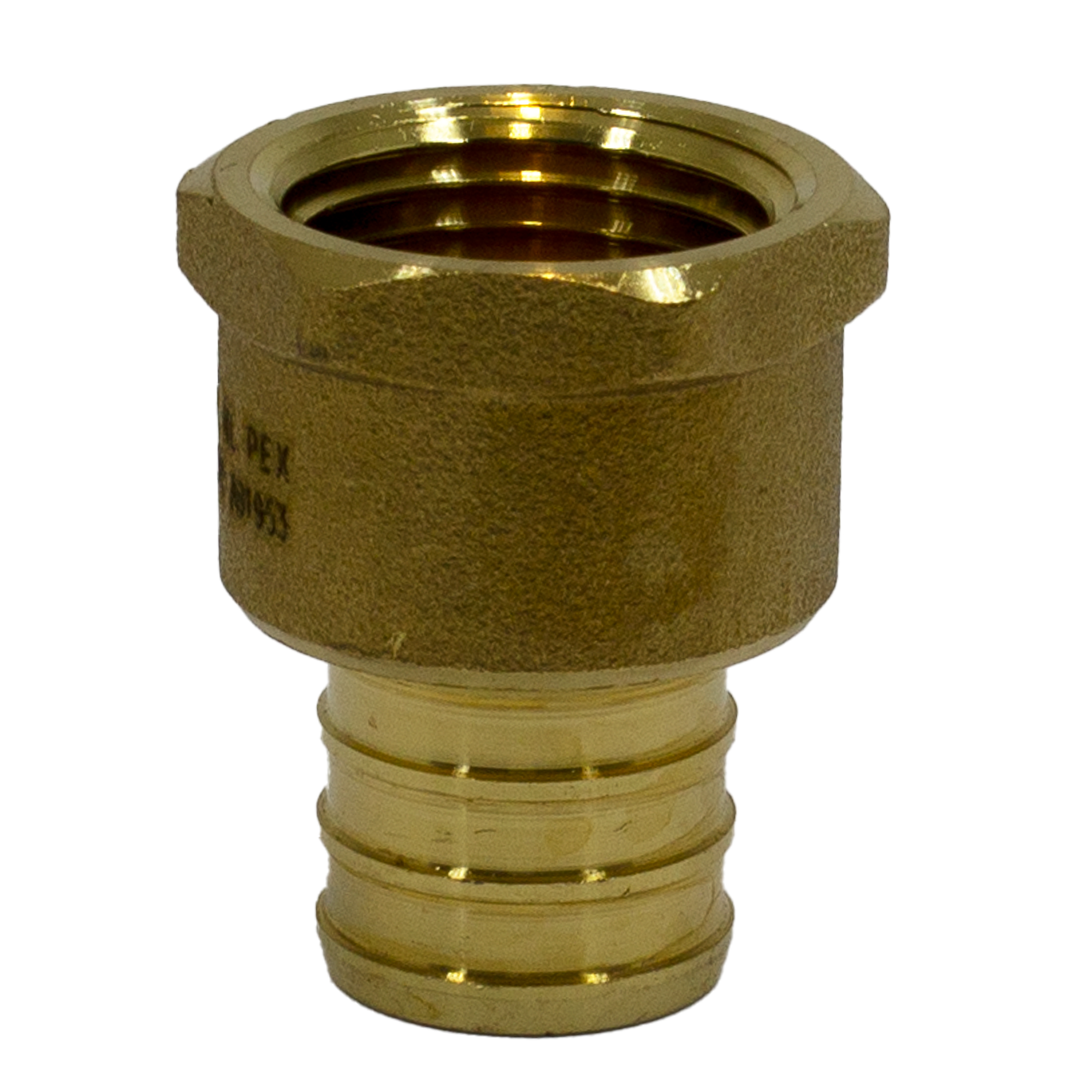 No Lead Brass Female Adapter 3/4